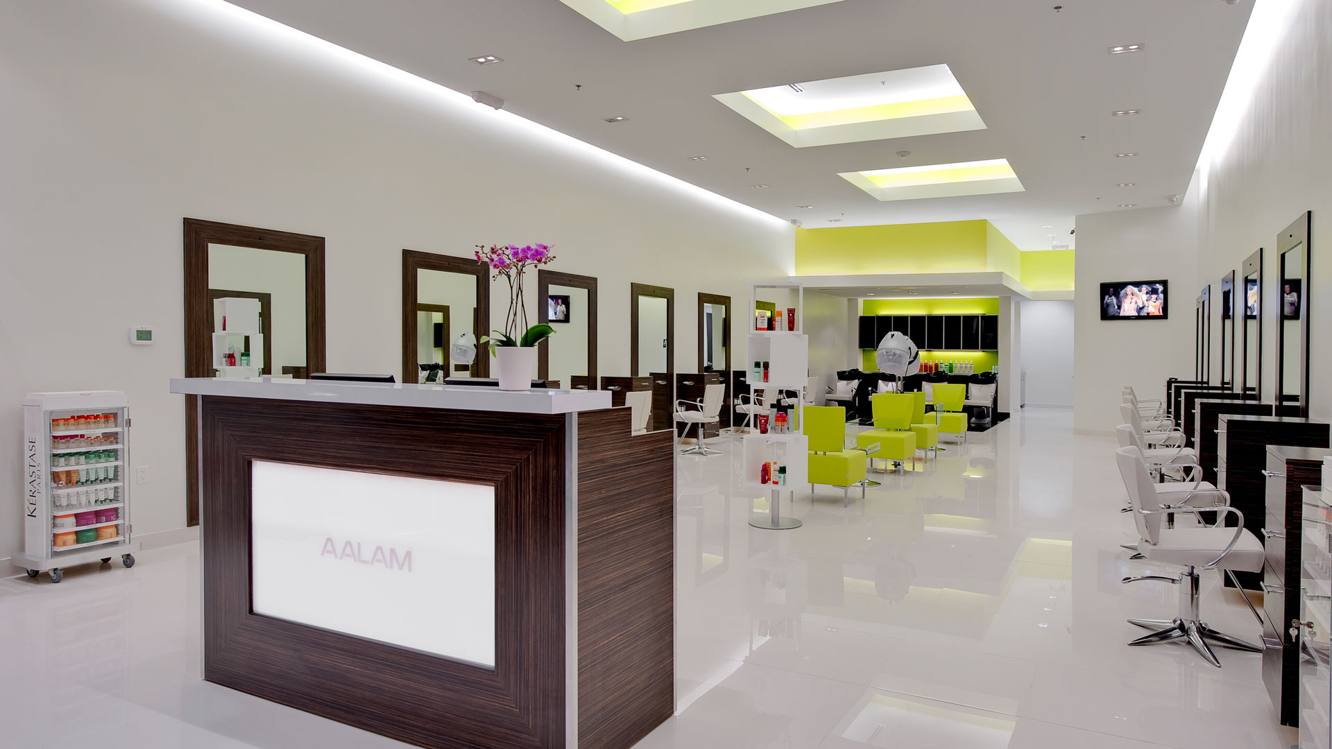 AALAM Salon Voted Top Best Hair Salon Plano North Dallas Women