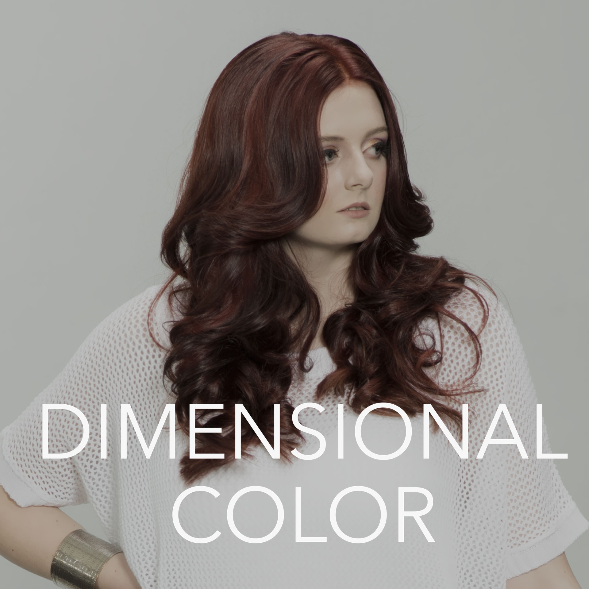 Dimensional Hair Color Aalam The Salon