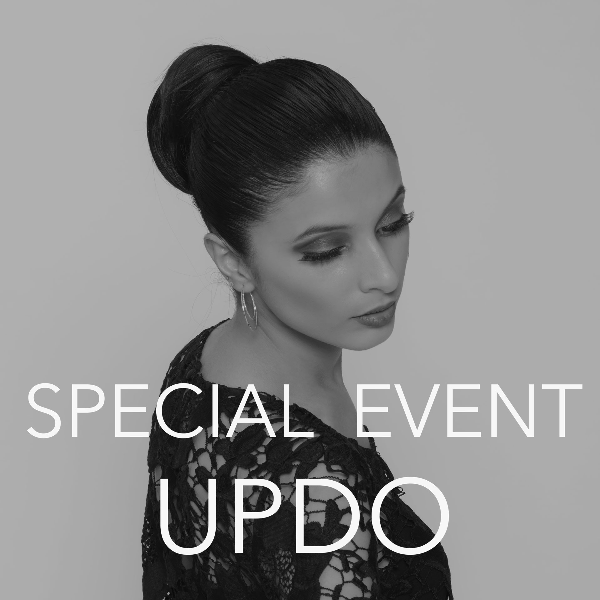 Special Event Hairstyling Formal Hairstyling Updo