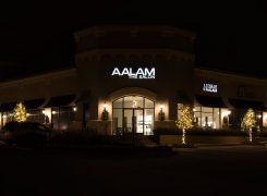 AALAM The Salon Prices for Men & Women Hair Salon Services Dallas Best